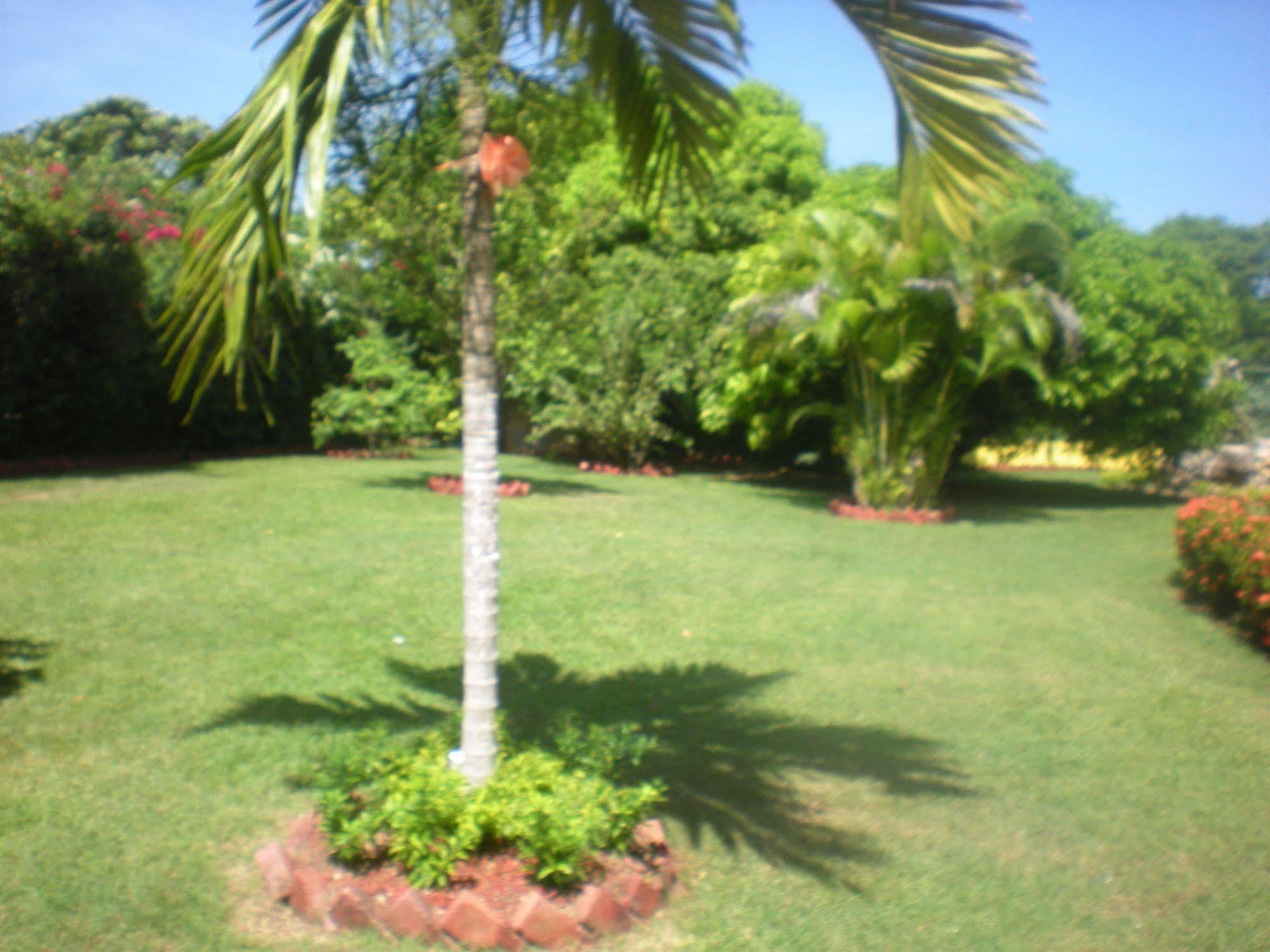 רנאוויי ביי Villa Sonate מראה חיצוני תמונה